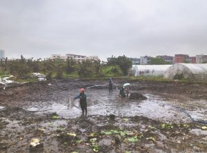 定安河道鱼塘清淤